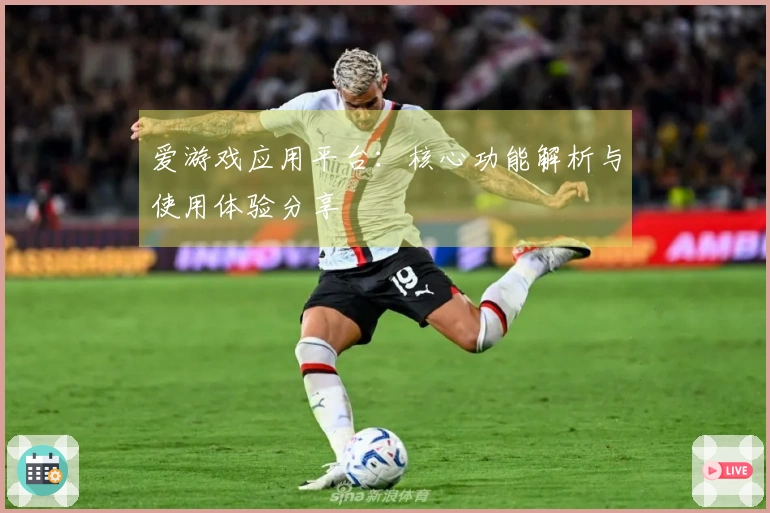 爱游戏应用平台：核心功能解析与使用体验分享