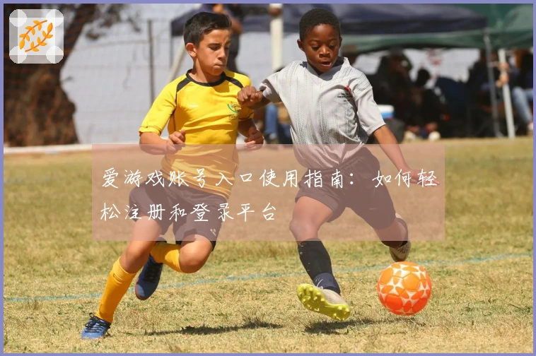 爱游戏账号入口使用指南：如何轻松注册和登录平台
