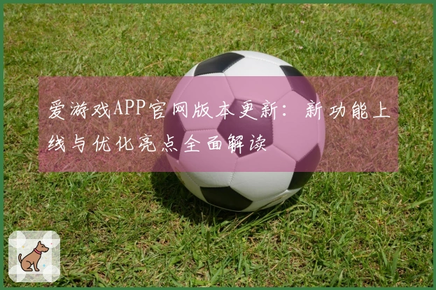 爱游戏APP官网版本更新：新功能上线与优化亮点全面解读